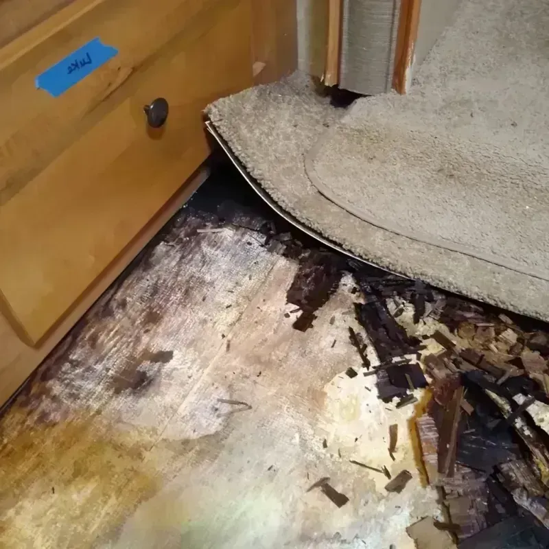 Wood Floor Water Damage in Galt, CA